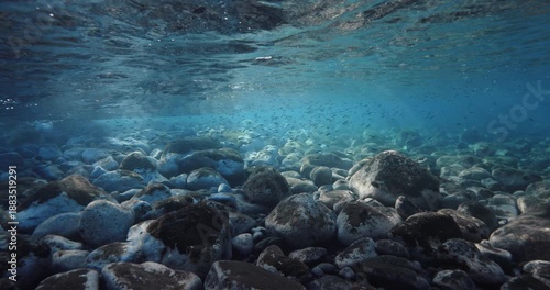 Wallpaper Mural Stones sea bottom with school of fish underwater in crystal ocean water Torontodigital.ca