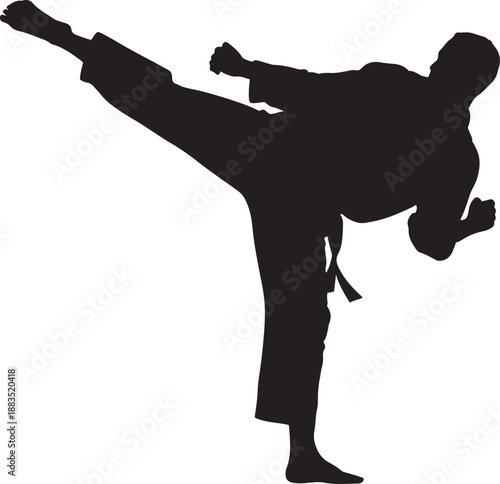 Silhouette of karateka performing a kick martial arts