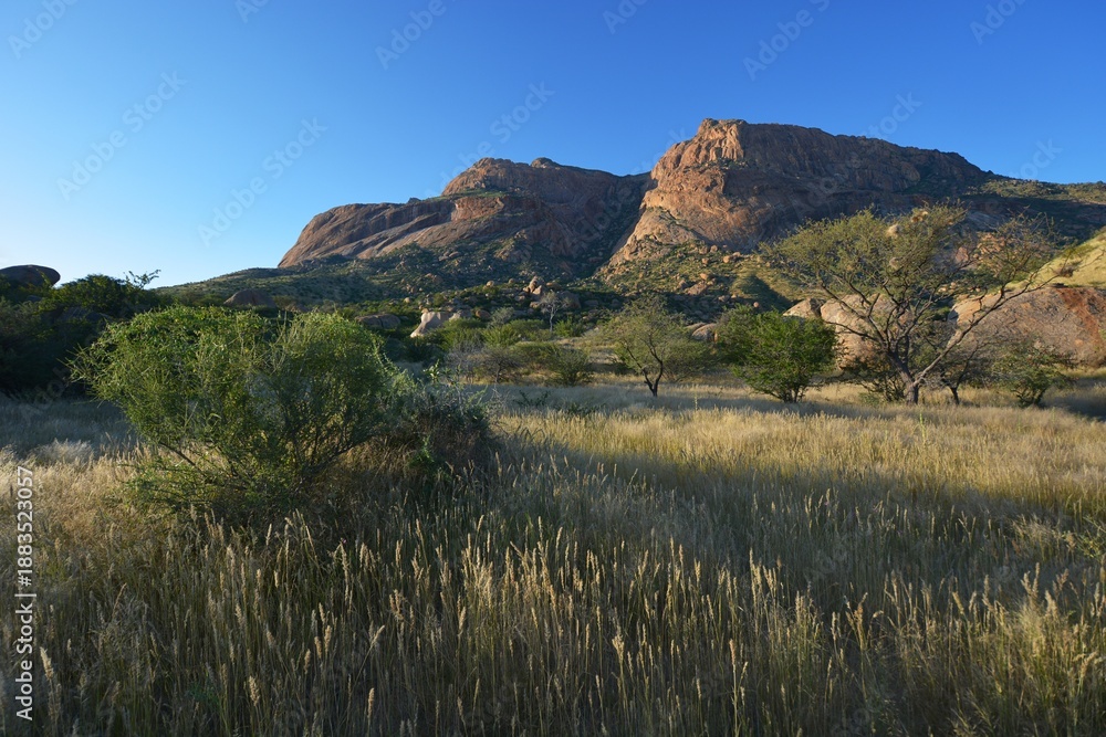 Fototapeta premium Landschaft im Erongo Gebirge im Abendlicht (Namibia)