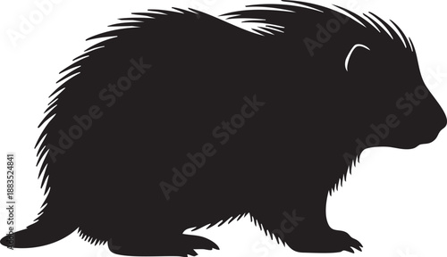 Silhouette vector illustration of a porcupine on white background 