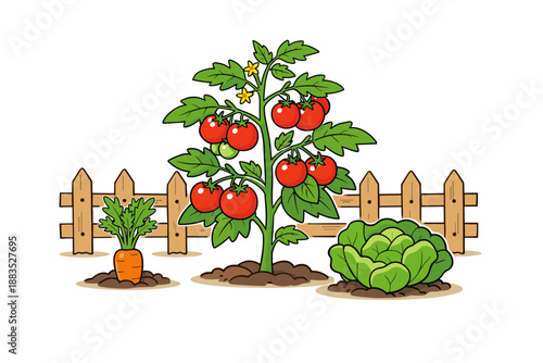Colorful garden scene with tomato plant, carrot, and cabbage in front of wooden fence