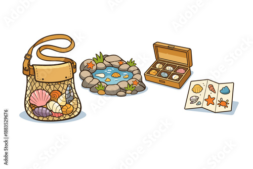 Beach adventure: seashell collection and tide pool exploration cartoon design