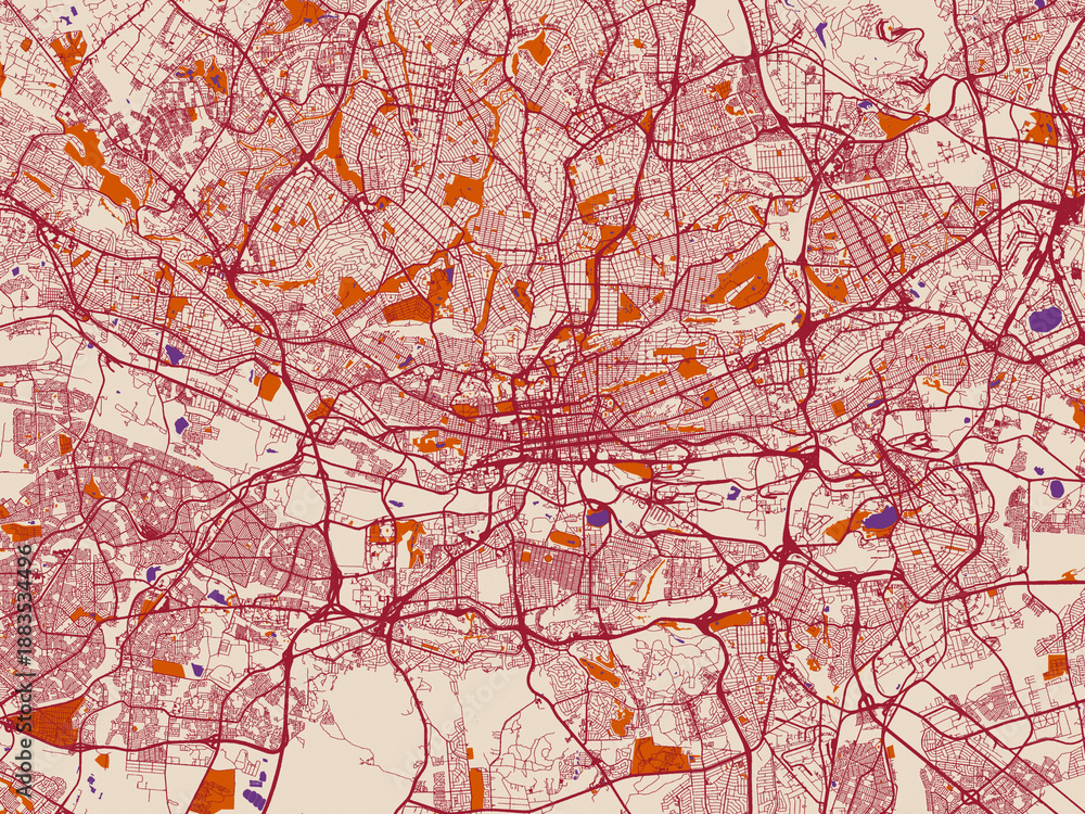 Fototapeta premium City grid layout map — Johannesburg, South Africa
