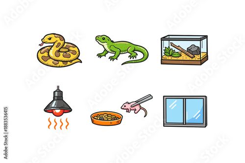 Reptile care essentials: snake, lizard, habitat, and accessories