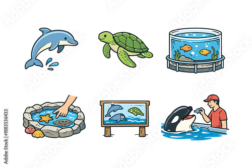 Aquarium animals set: turtle, dolphin, orca, and more in cartoon style