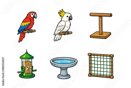 Colorful parrot and cockatoo with bird accessories on white background