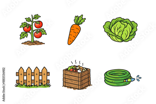 Garden elements: fresh tomatoes, carrot, cabbage, compost, fence, and hose illustrations