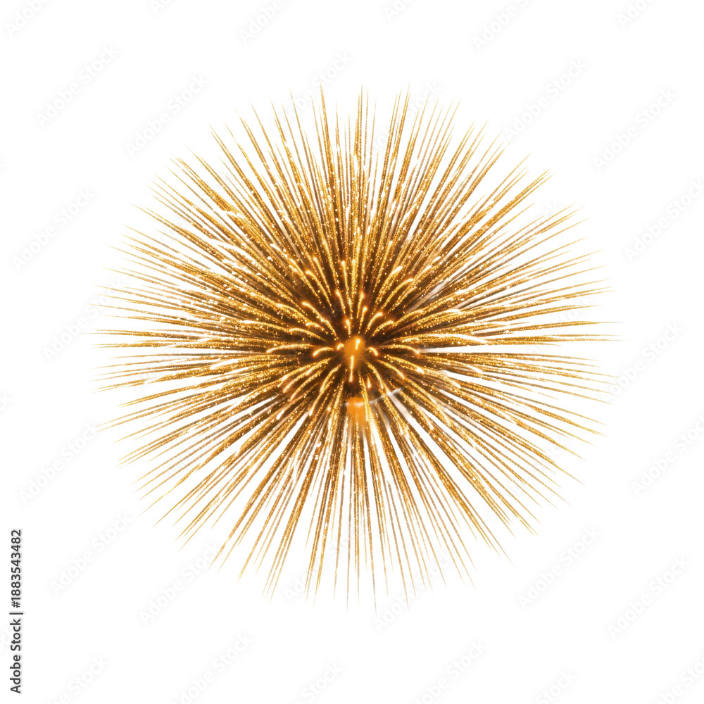 Fototapeta premium Golden feather whisk with intricate radiating strands isolated on a transparent background