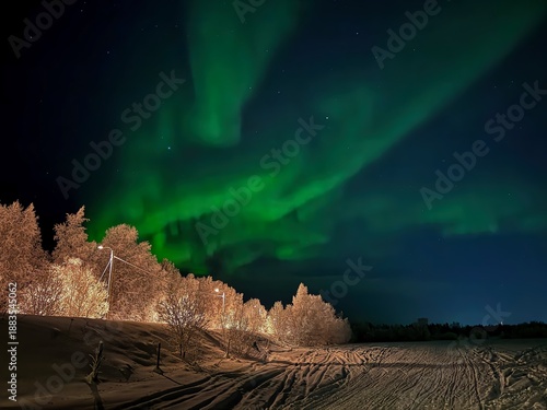 Принти на полотні Aurora Borealis seen close to the village of Ivalo in Northern Finland (Lapland)