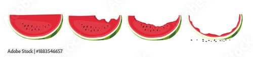 Large cut piece of watermelon. Whole, bitten and eaten fruit. Fresh red berry with seeds and peels. Natural healthy dessert. Chopped melon part and rind. Isolated food slices vector set