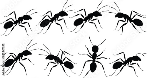 Black ant silhouettes collection isolated on white background showing different poses, crawling insects, minimalist vector style illustration for nature, pest control, biology conceptsWeb