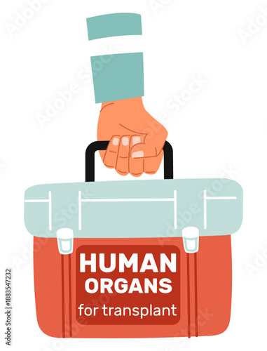 Doctors hand holds medical cooler box for transporting donor organ for transplantation. Medical surgery. Human arm carrying refrigerator container. Freezer storage bag. Vector concept