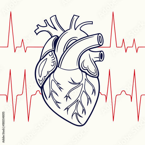 Heartbeat illustration