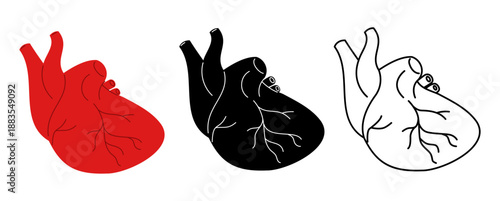 Human heart icons. Cardiology or anatomy medical signs. Red internal organ with aorta. Black and white cardiac logo. Cardio health care. Vector set of multicolored anatomical symbols