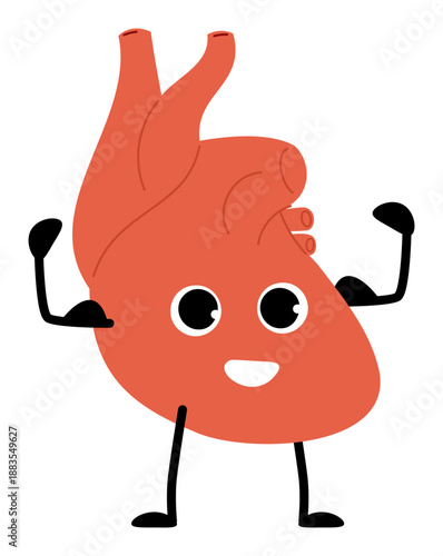 Cheerful cartoon heart. Strong and healthy character in form of human internal organ. Sport exercise. Sportsman health heartbeat. Athletic mascot with muscular hands. Vector concept