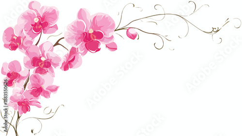 Elegant Orchid Bloom Border with Detailed Stems - Vector Art