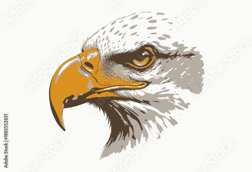 Detailed side profile illustration of a majestic eagle with vibrant plumage highlighting its powerful beak and piercing eye against a clean white background