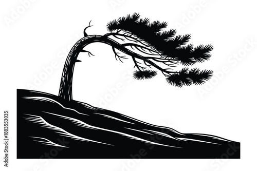 Bending Pine Tree Silhouette on Hillside