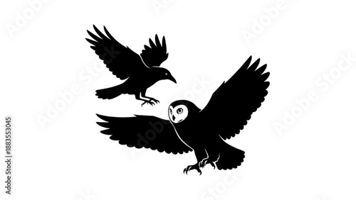 Striking black silhouettes of a crow and an owl in graceful flight, representing mystery and wisdom