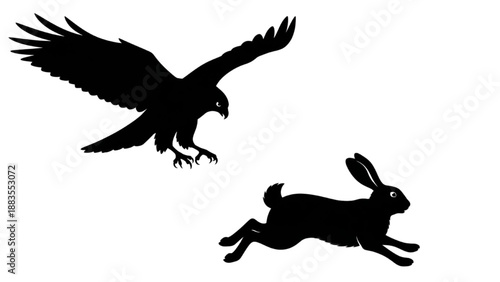 Silhouette of an eagle hunting a rabbit in flight over a white background