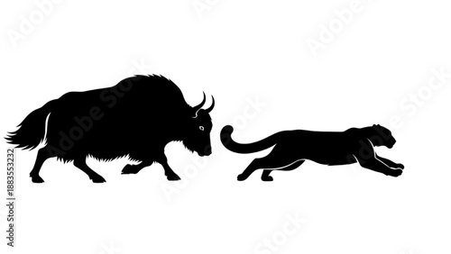 Dynamic silhouettes of a powerful yak and a swift big cat in a wild chase