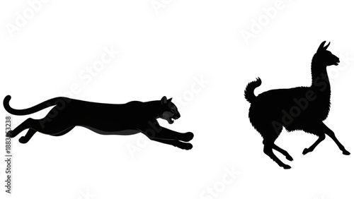 Striking silhouettes of a wild feline predator chasing a running llama in a dynamic display