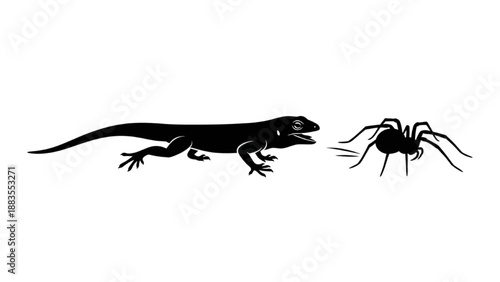 Lizard and Spider Encounter Silhouetted Reptile and Arachnid Confrontation Dynamic Scene