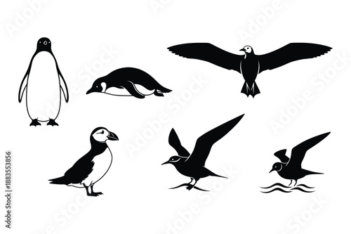 Arctic Bird Silhouettes Collection