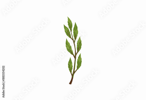 Illustration of a Vibrant Green Leafy Branch with Multiple Leaves on a Simple White Background Highlighting Nature's Elegance and Simplicity