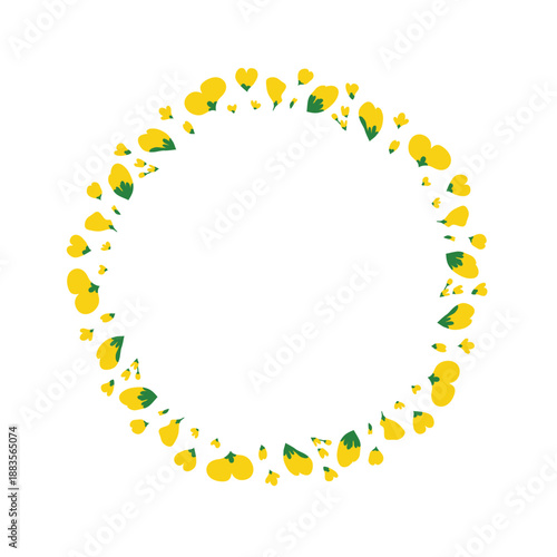 Cute circle frame with hand drawn canola rapeseed flowers isolated on white background.