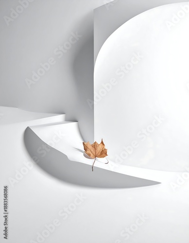 Minimalist Still Life - Dried Leaf on White Architectural Structure.