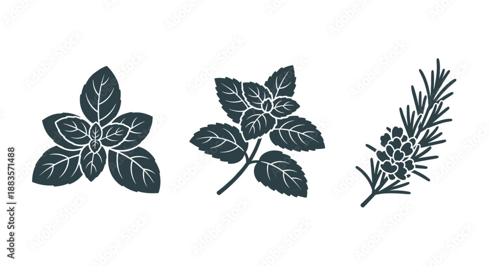 Fototapeta premium Collection of various dark green leafy plant branches