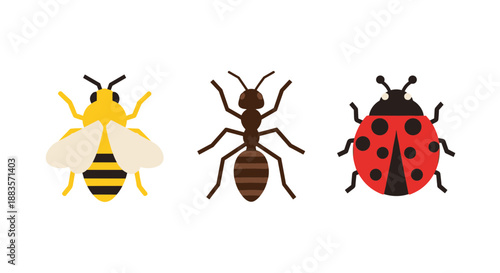 Colorful illustrations of a bee, ant, and ladybug insects