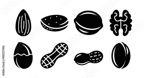 Collection of various nuts