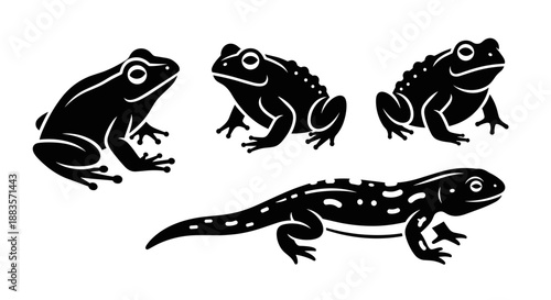 Black silhouettes of frogs and lizard