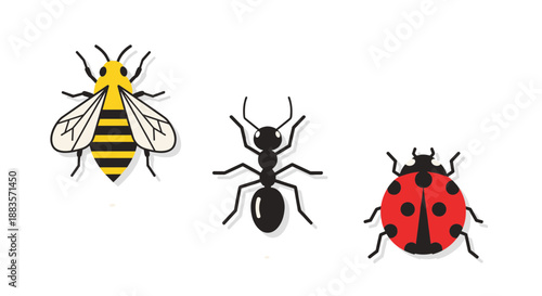 Colorful illustrations of a bee, ant, and ladybug