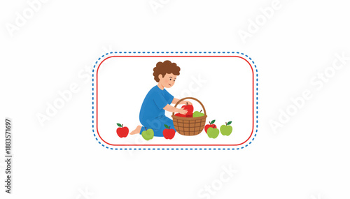 Child collecting apples in a basket. Autumn harvest vector illustration. Boy picking fruit isolated on white background