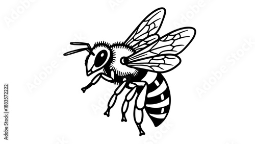 A bold black-and-white bee illustration with detailed wings, legs, eyes, and striped body.
