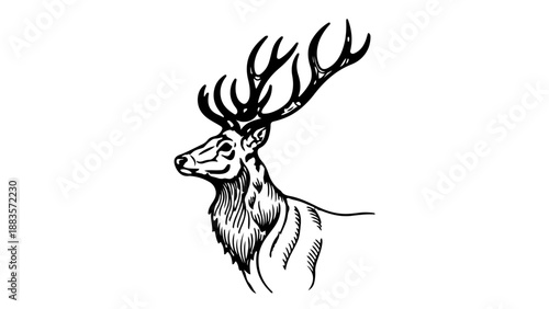A black and white vector illustration of a majestic deer with large antlers