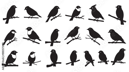 Collection of Various Bird Silhouettes on Branches for Design