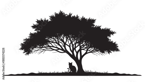 Silhouette of a Cat Sitting Under a Large Tree with Sparse Foliage and Grass