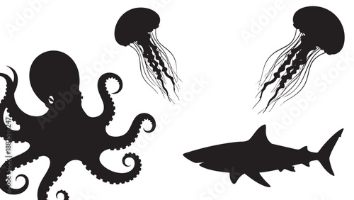 Silhouette of marine animals including octopus jellyfish and shark on transparent background