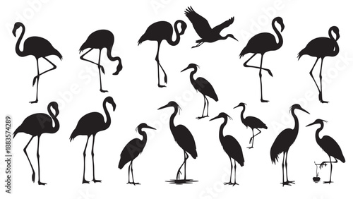 Silhouettes of Flamingos Standing and Flying Isolated on Transparent Background