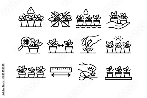 Prevention moisture sill growth vector healthy safe avoid herb correction icon leaves