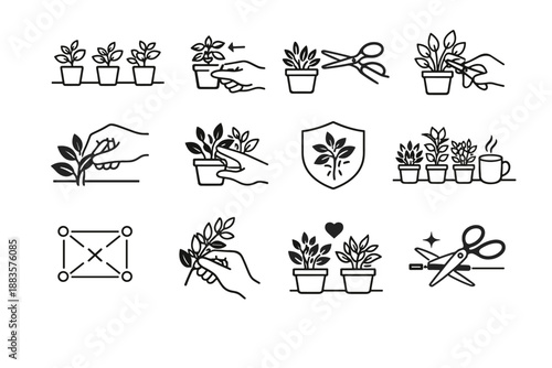 Access care mindful herb flow vector spacing icons logic minimalist cue icon