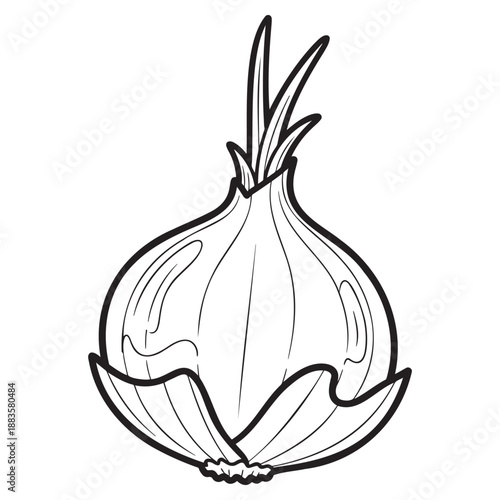 Onion illustration for coloring page featuring a bulb with green sprouts