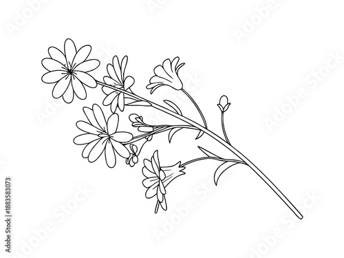 Single line drawing of a flowering plant with multiple blooms