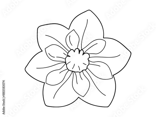 Single Outline Flower with Five Petals drawing bloom