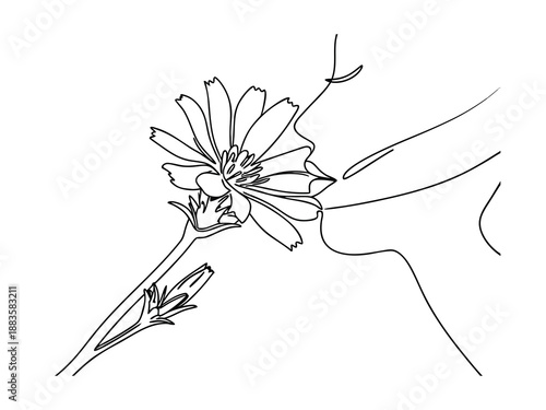 Woman smelling a single flower with buds chicory