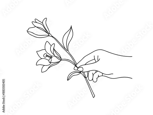 Hand Holding Lily Flowers Line Art fingers lilies